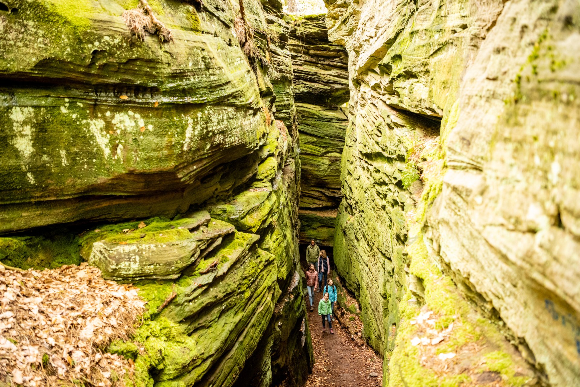 ET-2023-187-Bollendorf, Підслуховування екскурсії Gru?ne Ho?lle- Eifel Tourismus GmbH, Dominik Ketz.jpg