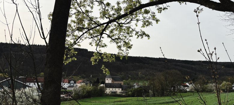Landschaftsaufnahmen der Ortsgemeinde Niederweis