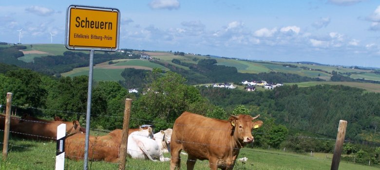 Landschaftsaufnahmen der Ortsgemeinde Scheuern